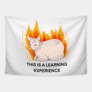 This is a learning experience Tapestry