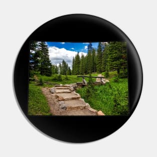 Colorado (Rocky Mountain National Park) Pin