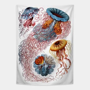 Jellyfish by Ernst Haeckel Tapestry
