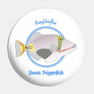 Bursa Triggerfish Pin