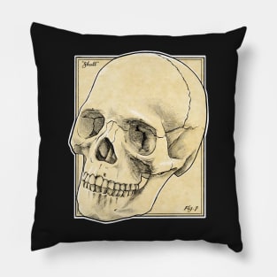 Anatomy textbook skull Pillow