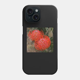 Proteas on the rocks Phone Case