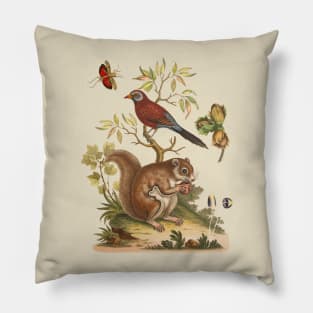 Squirrel and Bird Colorful Wildlife Illustration Pillow