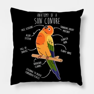 Sun Conure Parrot Anatomy Pillow