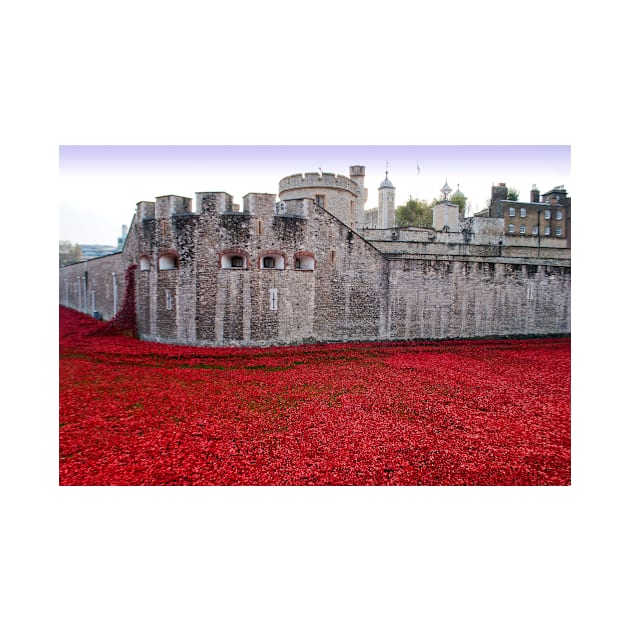 Tower of London Red Poppies by AndyEvansPhotos