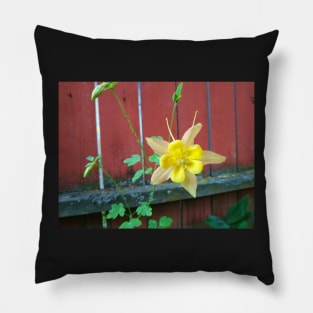 Columbine and Fence Pillow