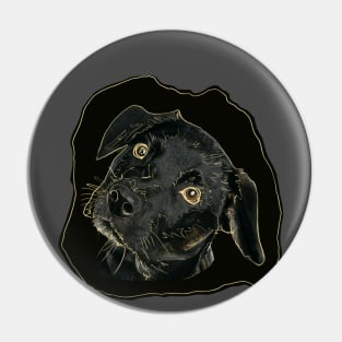 My pet dog Pin