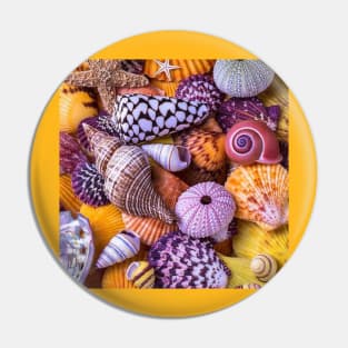 seashell Pin