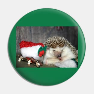 Christmas Hedgehog Pin