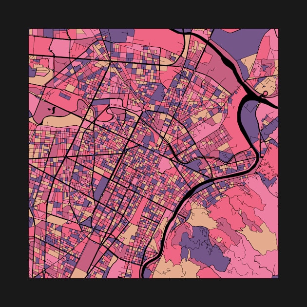 Turin Map Pattern in Purple & Pink by PatternMaps