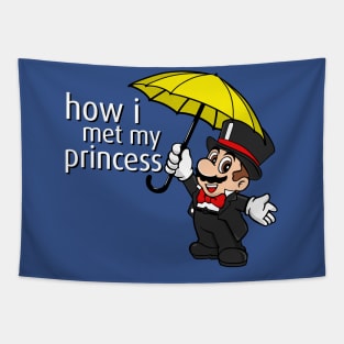 How I Met My Princess Tapestry