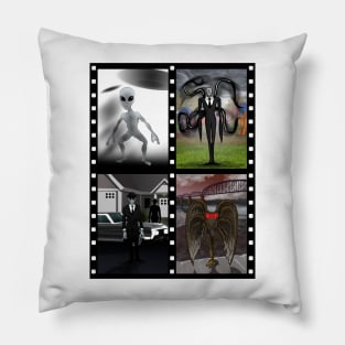 Cryptozoology, Cryptids and Forteana series 4 Pillow