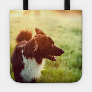 Happy dog Tote