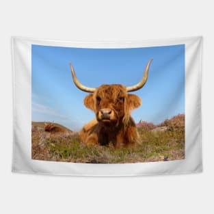 Highland Cow Tapestry