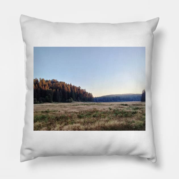 Elk Prairie Pillow by Johnmichaelartist