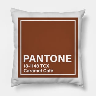 PANTONE 18-1148 TCX Caramel Cafe Pillow