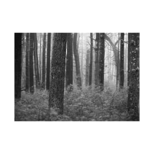 black and white forest with trees in fog T-Shirt