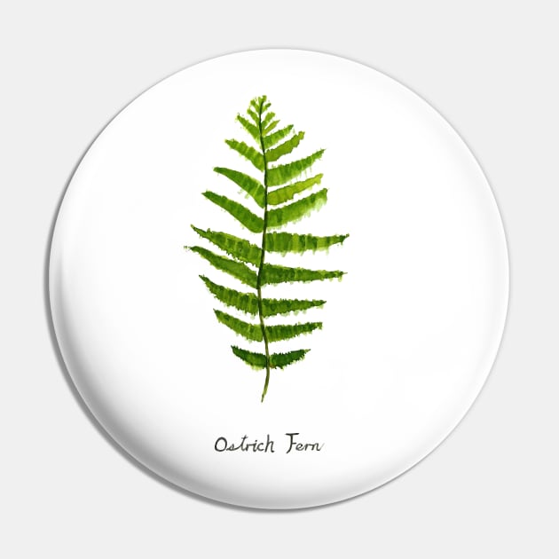 Ostrich fern watercolor Pin by colorandcolor