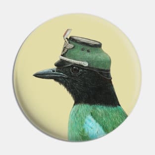 Hooded pitta Pin