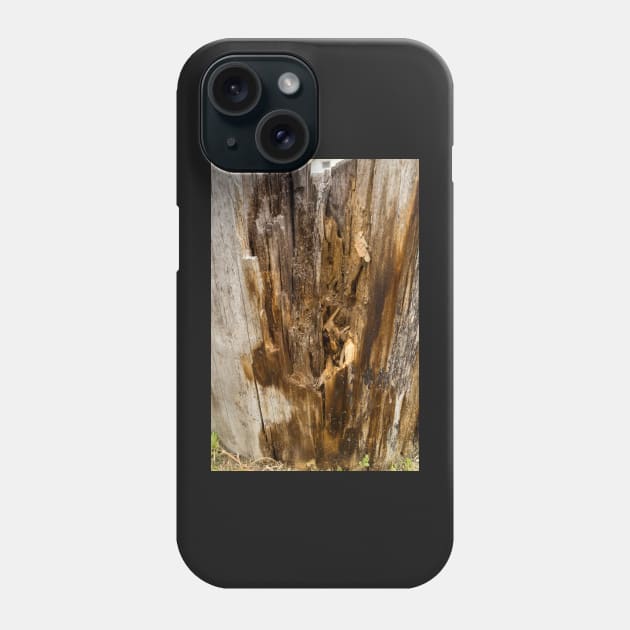 Wood texture of rotten tree trunk, close-up, texture, background Phone Case by NxtArt