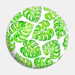 Monstera leaves watercolor Pin