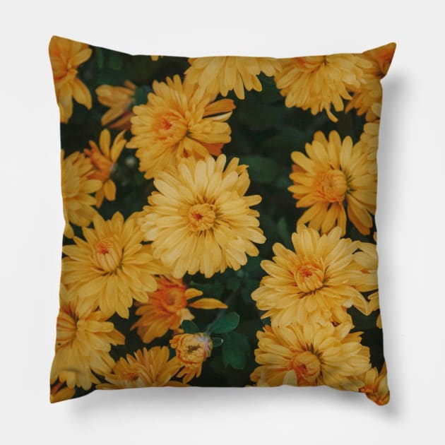 Daisies Pillow by Melodramalex