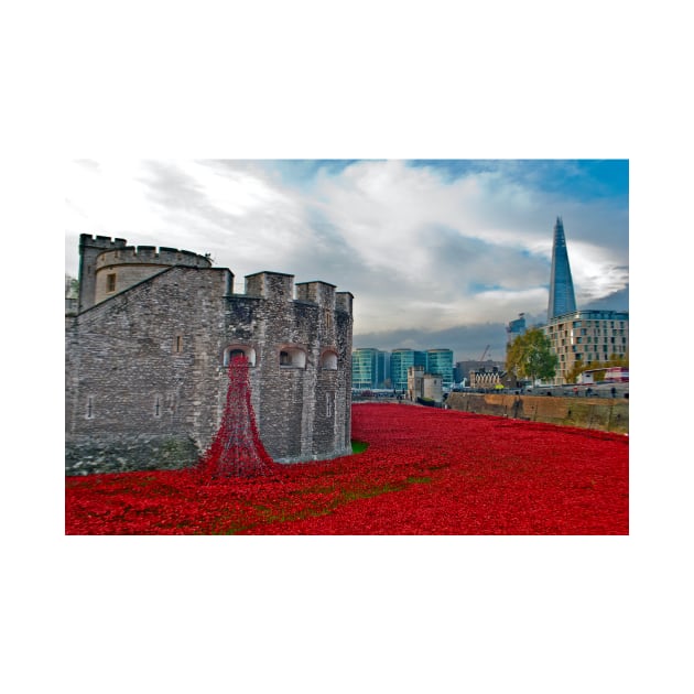 Red Poppies At The Tower Of London by AndyEvansPhotos