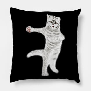 Funny Dancing Cat Lovers Gift Pillow