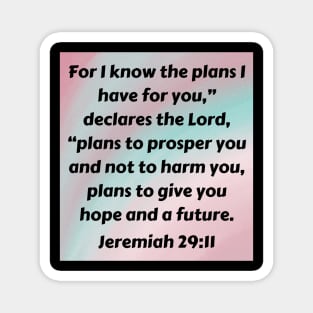 Bible Verse Jeremiah 29:11 Magnet