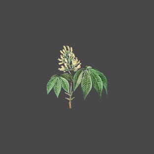 Vintage Yellow Buckeye Botanical Illustration T-Shirt