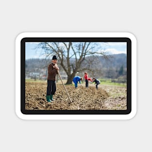 Sowing potatoes Magnet