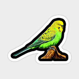 Vivid Voices: Budgies Bring Colorful Melodies to Graphic Tee Magnet