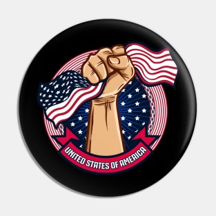 united states of america pride Pin