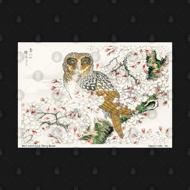 Japanese Short-eared Owl Water color Numata Kashu by PlanetMonkey