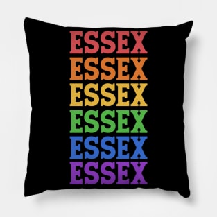 ESSEX COLORFUL BAY Pillow