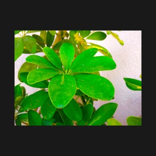 Green Leaves Photo T-Shirt