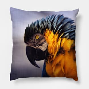 Colourful Parakeet Pillow