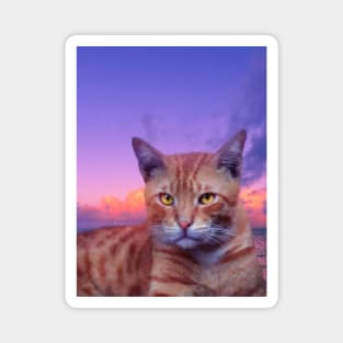 Orange tabby cat in the sky painting Magnet