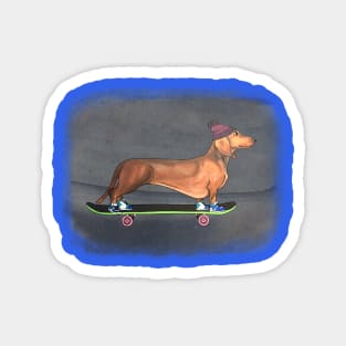 Wiener Boarder Magnet