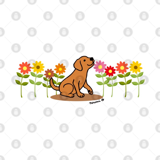 Fox Red Labrador and Flowers by HappyLabradors