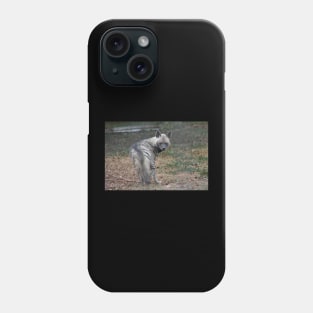 Striped Hyena Phone Case