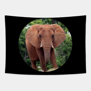 Framed Jungle Elephant Tapestry