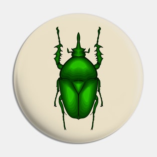 Mecynorhina torquata bug cartoon illustration Pin