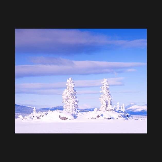 Snowy Honey Moon Island, Tagish Lake, YT, Canada by ImagoBorealis