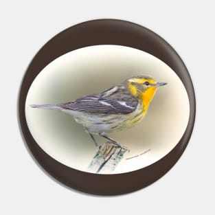 Blackburnian Warbler Pin