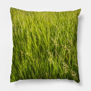 Blooming wild bromus Pillow