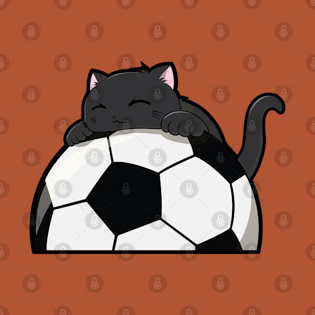 Cute Cat Hugging A Soccer Ball by The Kitten Gallery