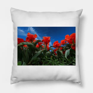 Red Tulips Pillow