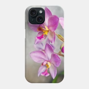 Pink Orchid (Spathoglottis x parsonsii) Phone Case