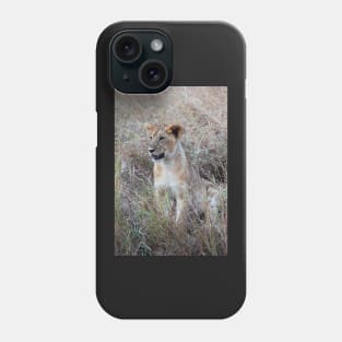 Young Lion in the Grass, Maasai Mara, Kenya Phone Case